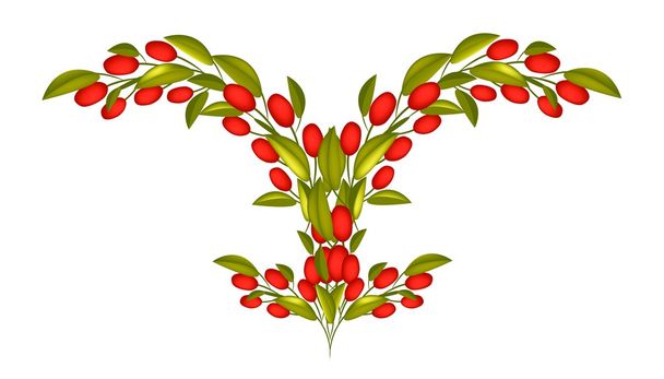 Čerstvé červené olivy na větvi na bílém pozadí - Vektor, obrázek