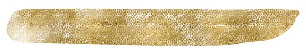 Golden glitter shine brush stroke backdrop. Stock illustrtaion.  - Foto, Imagem