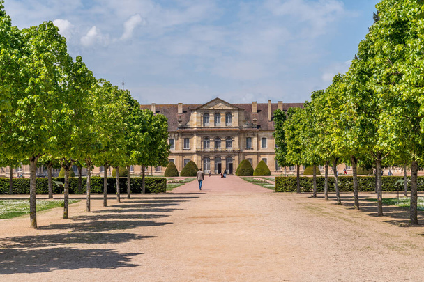Дорога збігалася з деревами, що ведуть до художньої та ремісничої школи міста Клуні (Франція). - Фото, зображення