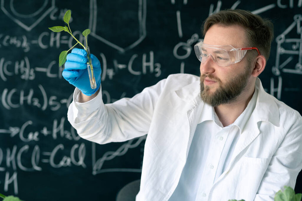 Microbiólogo masculino que trabaja en laboratorio examinando plantas en tubo de ensayo, realizando experimentos en vidrio de laboratorio, microbiología y concepto de genética - Foto, Imagen