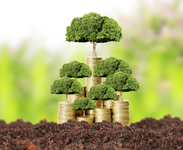  árbol del dinero que crece del dinero
  - Foto, Imagen