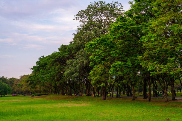 Verde prado hierba en ciudad parque público cielo witrh nube naturaleza paisaje - Foto, imagen