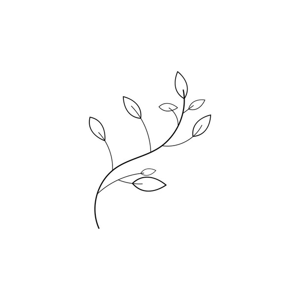 Modèle de conception d'icône vectorielle fleuriste beauté - Vecteur, image