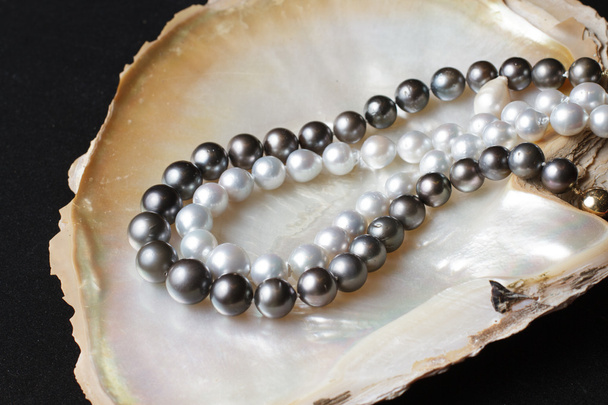 collares de perlas blancas y collares de perlas negras en concha de perlas
 - Foto, Imagen