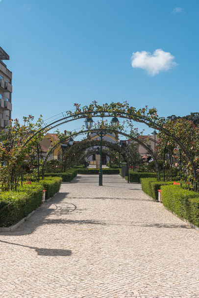 Jardim dos Campos est situé en face de la maison où vivait le célèbre romancier Julio Dinis. - Photo, image