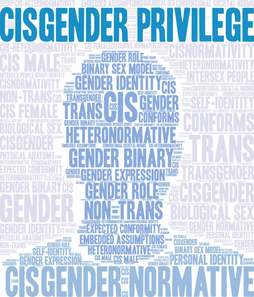 Cisgender Privilege word cloud fehér háttérrel.  - Vektor, kép