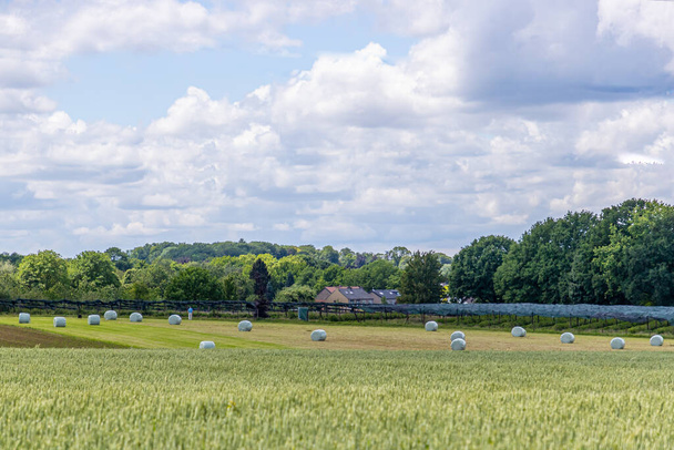 Nederlands landschap met boerenland met hooibalen op het gras, boerderijen en weelderige groene bomen op een wazige achtergrond, zonnige lentedag met wolken in de lucht in Zuid-Limburg, Nederland - Foto, afbeelding