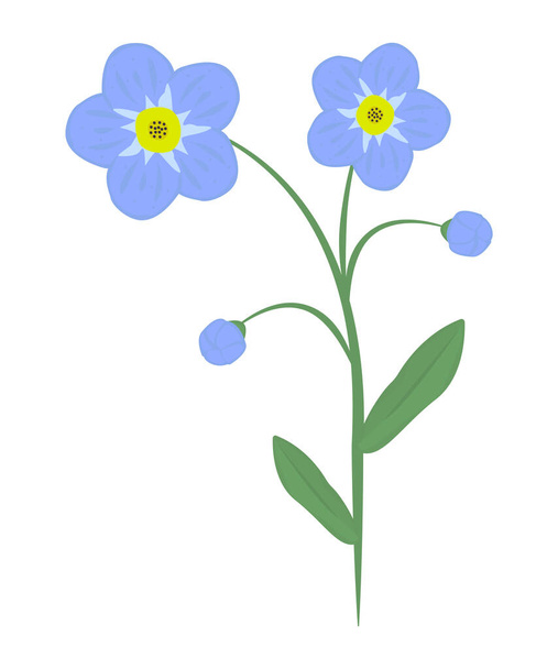 Forget-me-not λουλούδι, πολύχρωμη απεικόνιση - Διάνυσμα, εικόνα