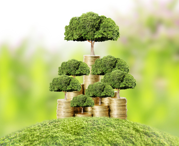  peníze strom, který roste z peněz  - Fotografie, Obrázek