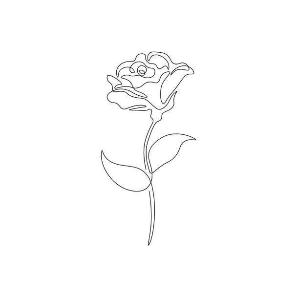 Continuous one line rose flower. Modern floral design, hand drawn blossomed art for print, tattoo. Vector graphic illustrations. - Vetor, Imagem