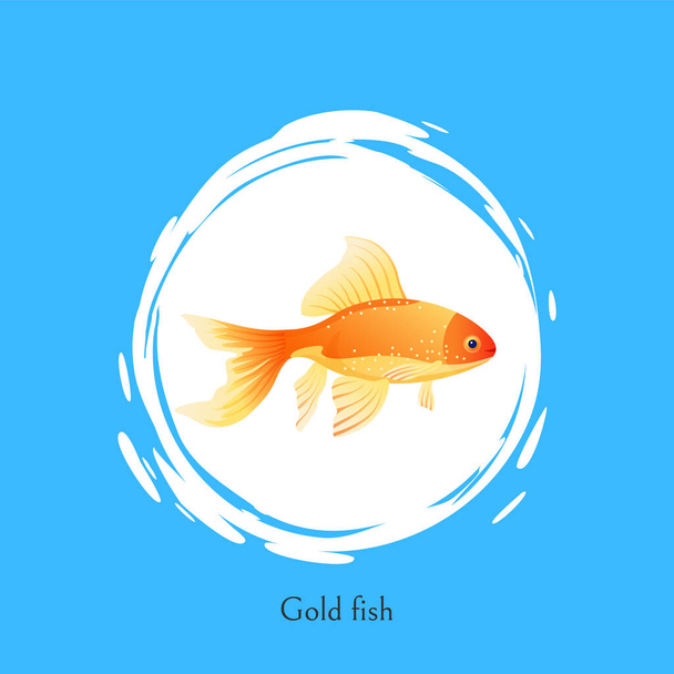 Aquarium Goldfish poster with cutline. Color cartoon marine creature flat vector illustration in centre of white bubble spot on blue background. - Vektori, kuva