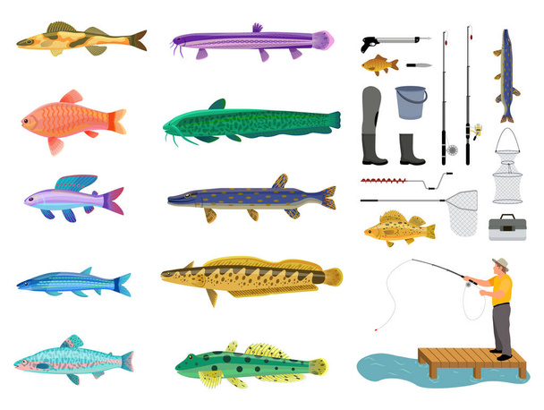 Fish set and fishing tools collection color card, isolated on white background vector illustration of different water inhabitants and rods with nets - Vecteur, image