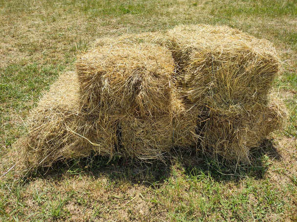 hay bales in the summer - in Romania - Photo, Image