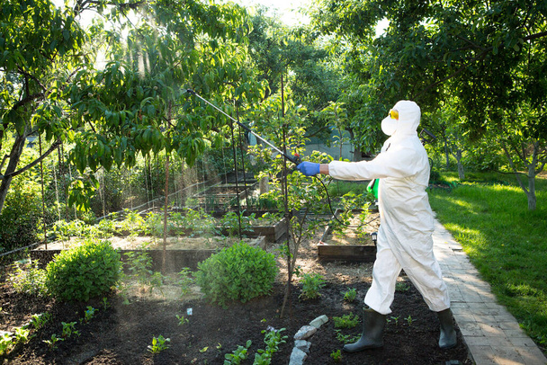 Il processo di trattamento delle piante con pesticidi. Contadino in tuta protettiva e maschera che cammina attraverso frutteto con macchina impollinatrice sulla schiena e spruzzando alberi con pesticidi. - Foto, immagini