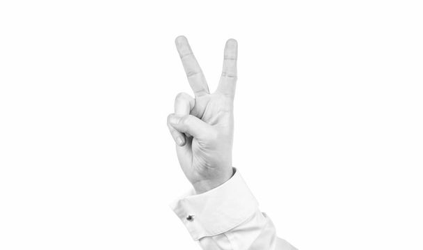 gesto de paz de la mano masculina aislado sobre fondo blanco, gesto. - Foto, Imagen