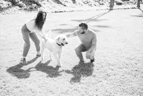 feliz pareja de hombre y mujer jugando con perro mascota en el parque de verano hierba verde, felicidad. - Foto, Imagen