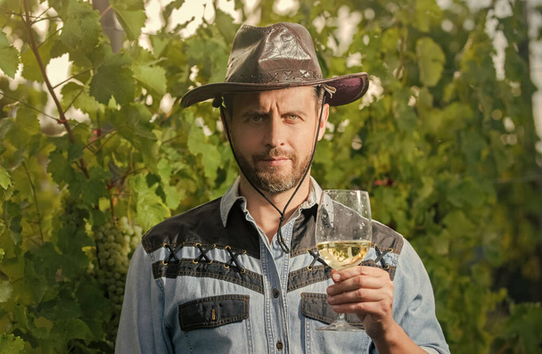 enologist with wineglass. sommelier. farmer drink wine. cheers. vinedresser drinking. male vineyard owner. professional winegrower on grape farm. bearded man in hat with wine glass. - Photo, Image