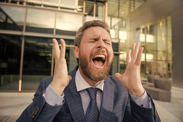 frustrated man in businesslike suit. manager executive express emotions. mature bearded boss portrait. shouting businessman in formalwear. business problem. - Photo, Image