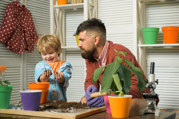 Nature education. School about plants and gardening. Harvest time. Spring culture. Father and son. Family plant - Photo, Image