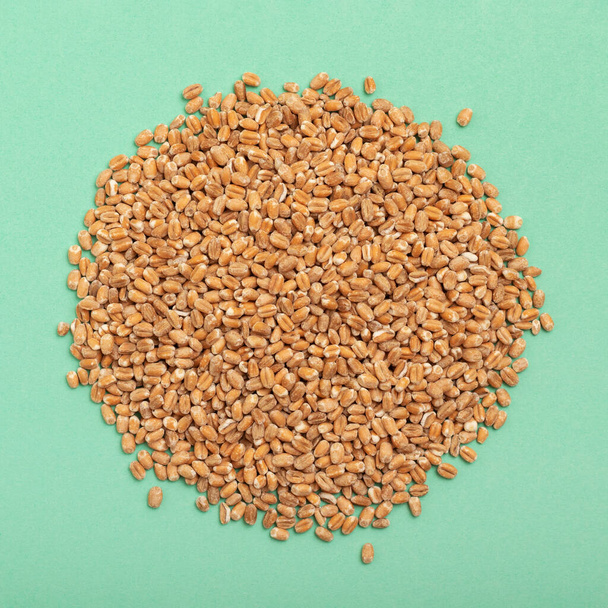 Pile of golden wheat grain on a blue background. - Foto, afbeelding