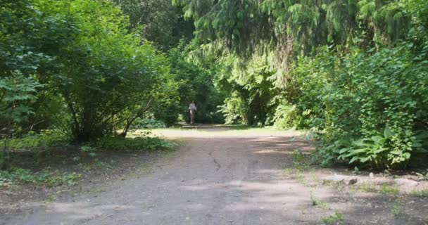 Ein Mädchen in einem Kleid fährt mit einem Elektroroller über einen Feldweg im Park, zwischen grünen Bäumen. Öko-Verkehrskonzept, Dorf der Zukunft. Hochwertiges 4k Filmmaterial - Filmmaterial, Video