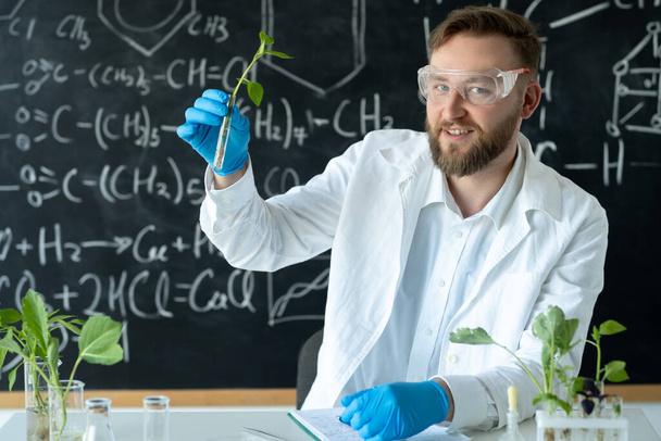 Pflanze im Reagenzglas. In einem modernen Labor führt der Forscher Experimente durch, indem er Verbindungen unter Verwendung von Pflanzen in Laborglas synthetisiert - Foto, Bild