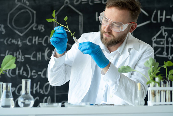 Biologi tekee kokeita laboratoriossa syntetisoimalla yhdisteitä käyttämällä koeputkessa pipettiä ja kasvia.. - Valokuva, kuva