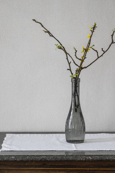 vase en verre noir au printemps. belle pièce d'intérieur - Photo, image