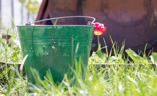 Metal dirty garden bucket, container with a handle in the garden in green grass. Garden equipment. Bright sunny day in the garden - Фото, изображение