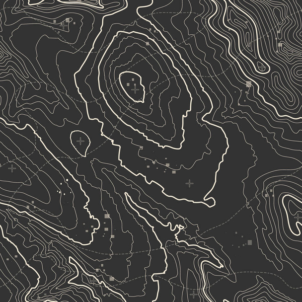Grey contours vector topography. Geographic mountain topography vector illustration. Topographic pattern texture. Map on land vector terrain. Elevation graphic contour height lines. - Vector, Imagen