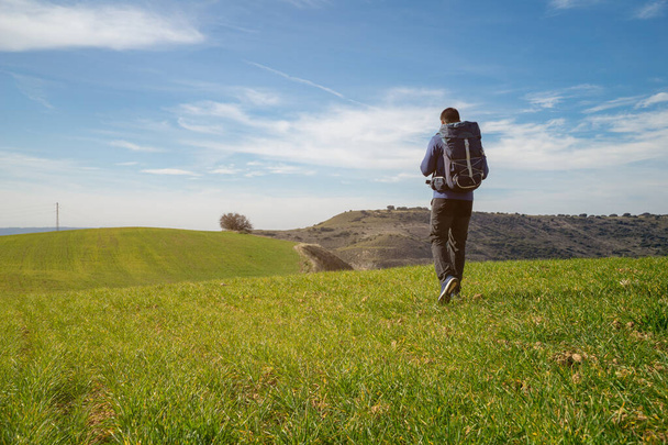 Unrecognizable boy walking with a hiking backpack through a green meadow on a sunny day with a lot of copy space on the left of the image - concept of sport and self-improvement - Photo, Image