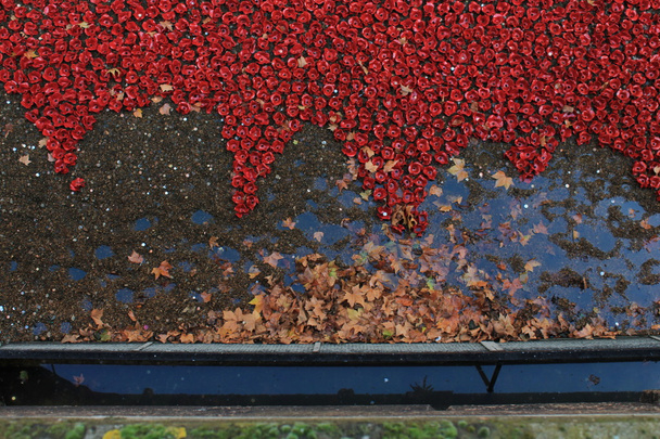 土地とロンドン塔で赤いケシの海掃引血 - 写真・画像