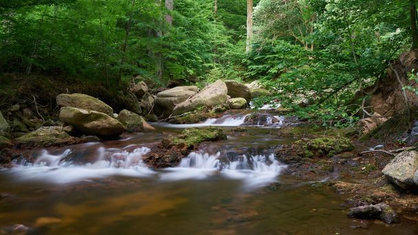 rzeka Ilse w Ilsenburgu u podnóża Brocken w Parku Narodowym Harz w Niemczech                                - Zdjęcie, obraz