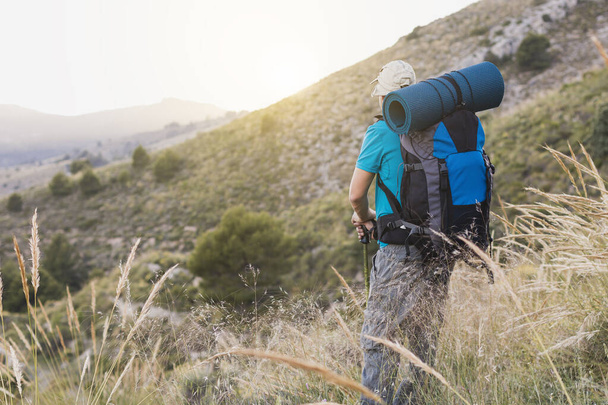 An unrecognizable hiker, adult, male, Caucasian, with a backpack, mat, poles, dressed in blue t-shirt, cap and gray pants is on the mountain watching the sunset. - Photo, Image