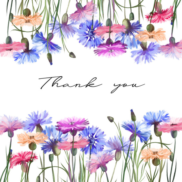 Floral περίγραμμα, υπόδειγμα κάρτας από ακουαρέλα μπλε, ροζ και μοβ άνθη καλαμποκιού, εικονογραφήσεις σε λευκό φόντο, σχέδιο για κάρτες και προσκλήσεις - Φωτογραφία, εικόνα