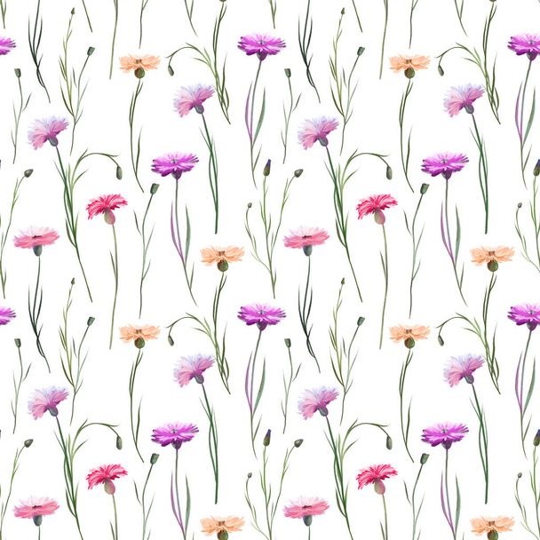 Nahtloses Muster aus rosa und lila Kornblumen, Illustrationen auf weißem Hintergrund - Foto, Bild