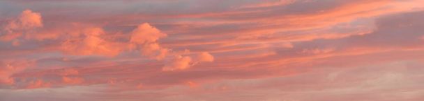 Cielo al atardecer, brillantes nubes rosas y doradas después de la tormenta. Paisaje nublado dramático. Concepto arte, meteorología, cielo, esperanza, paz, recursos gráficos, pintoresco paisaje panorámico - Foto, imagen