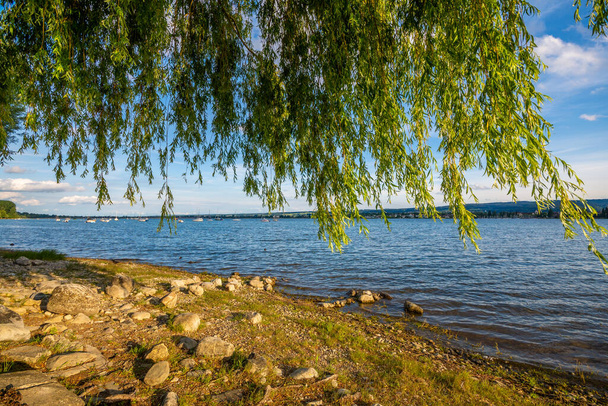 Tavi part gyönyörű tó Constance nyáron - Fotó, kép