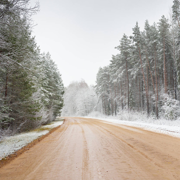 Country gravel road through the snow-covered evergreen forest. Mighty pine and spruce trees. Nature, christmas vacations, remote places, off-road, dangerous driving concept - 写真・画像