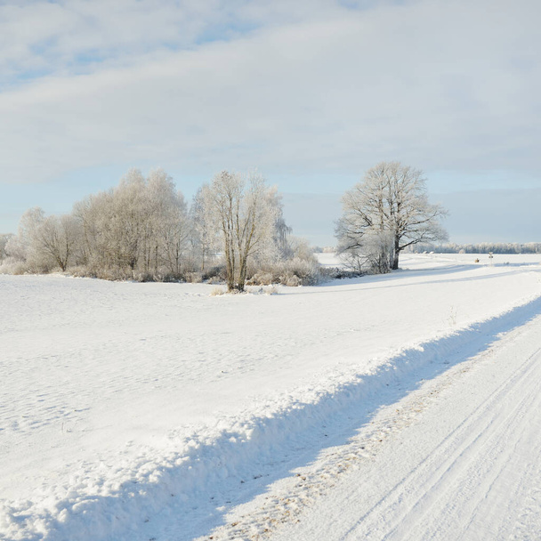 Αγροτικός δρόμος μέσα από τα χιονισμένα χωράφια, αγροτική περιοχή. Θέα από το αυτοκίνητο. Το χιόνι παρασύρεται. Η Ευρώπη. Φύση, διακοπές Χριστουγέννων, απομακρυσμένα μέρη, χειμερινά ελαστικά, επικίνδυνη έννοια οδήγησης - Φωτογραφία, εικόνα