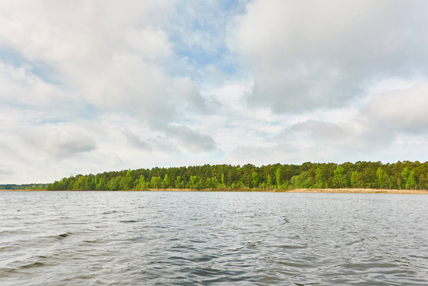 Panoraamanäkymät kristallinkirkkaan metsäjärven rannalta (joki). Idyllinen maisema. Kevät, alkukesä. Luonto, ympäristö, ekologia, ekomatkailu, patikointi, lomat, uinti ja rentouttavat teemat - Valokuva, kuva