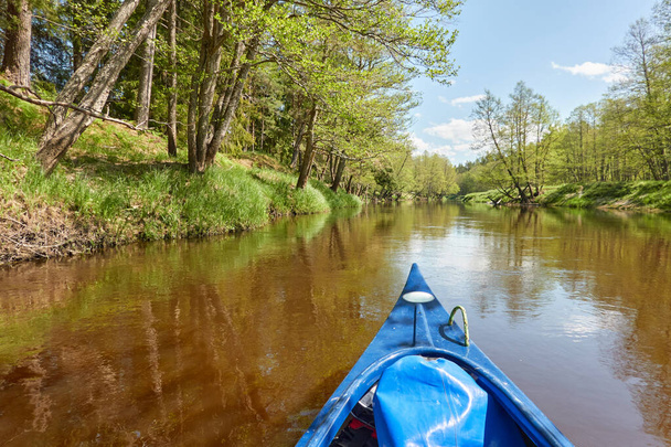 Kano rijden op Irbe rivier. Kurzeme, Letland. Bos. machtige bomen, reflecties in het water. Natuur, ecologie, eco-toerisme, wandelen, vrijetijdsbesteding, varen, roeien, sport, gezonde levensstijl, zwerflust - Foto, afbeelding