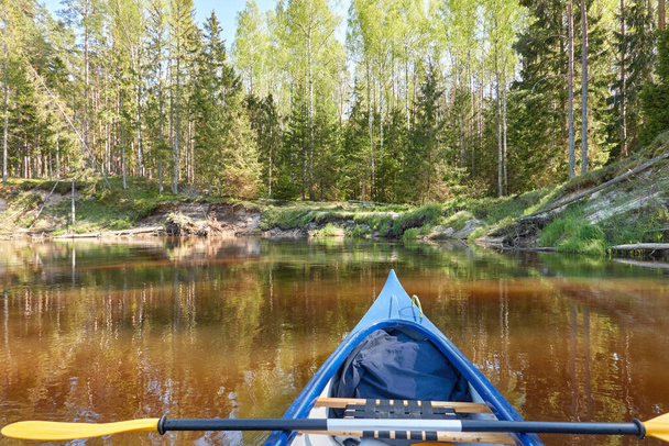 Κανό ιππεύει στον ποταμό 'ιρμπ. Kurzeme, Λετονία. Δάσος. Δυνατά δέντρα, αντανακλάσεις στο νερό. Φύση, οικολογία, οικολογικός τουρισμός, πεζοπορία, δραστηριότητες αναψυχής, βαρκάδα, κωπηλασία, αθλητισμός, υγιεινός τρόπος ζωής, περιπλανώμενος πόθος - Φωτογραφία, εικόνα
