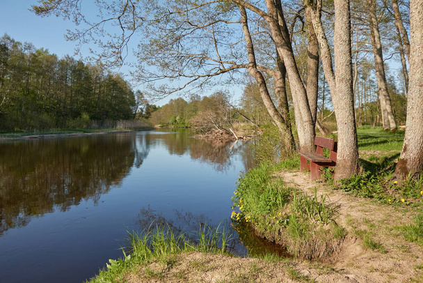 Χώρος αναψυχής και ζώνη ανάπαυσης σε δασικό πάρκο. Irbe river, Kurzeme, Λετονία. Ξύλινο παγκάκι από κοντά. Φύση, οικολογία, οικολογικός τουρισμός, αθλητισμός, υγιεινός τρόπος ζωής, περιπλάνηση - Φωτογραφία, εικόνα