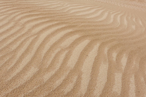 Sand dune texture, close-up. Baltic sea shore, beach. Nature, desert, environment, ecology, climate. Concept landscape, background, wallpaper. Wave pattern. Panoramic image, copy space - Photo, image
