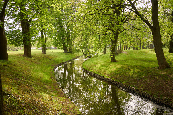 Невелика річка (канал) в лісовому парку. Могутні зелені листяні дерева, дикі квіти, рослини. Золоте сонячне світло. Ідилічний літній пейзаж. Природа, екологія. екотуризм, піші походи. їзда на велосипеді, скандинавська ходьба
 - Фото, зображення