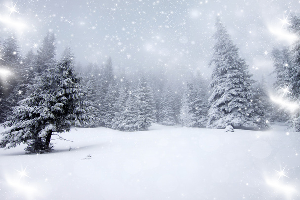 Karácsonyi háttér havas fenyő fák  - Fotó, kép