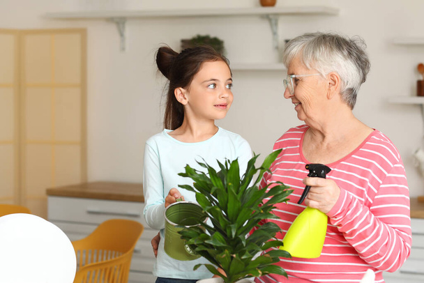 Niña con su abuela regando planta de interior en la cocina - Foto, imagen