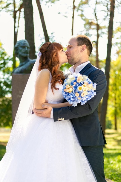 portrait of just married couple kissing in park at sunny day - Photo, Image