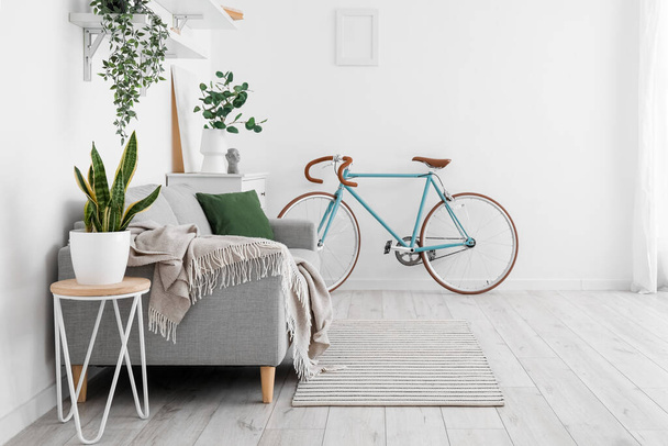 Interiér světlého obývacího pokoje s jízdním kolem, šedou pohovkou a pokojovými rostlinami - Fotografie, Obrázek